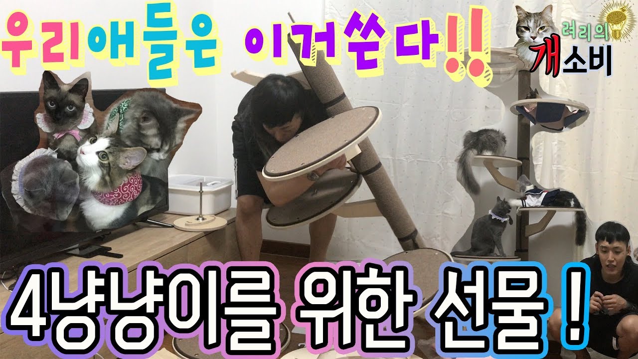 4냥냥이를 위한 선물 ! 우리애들은 이거쓴다 ! 캣폴(캣타워)조립 ! ㅣryeori's overspend cat tree (cat tower) -려리의욕구충족개소비