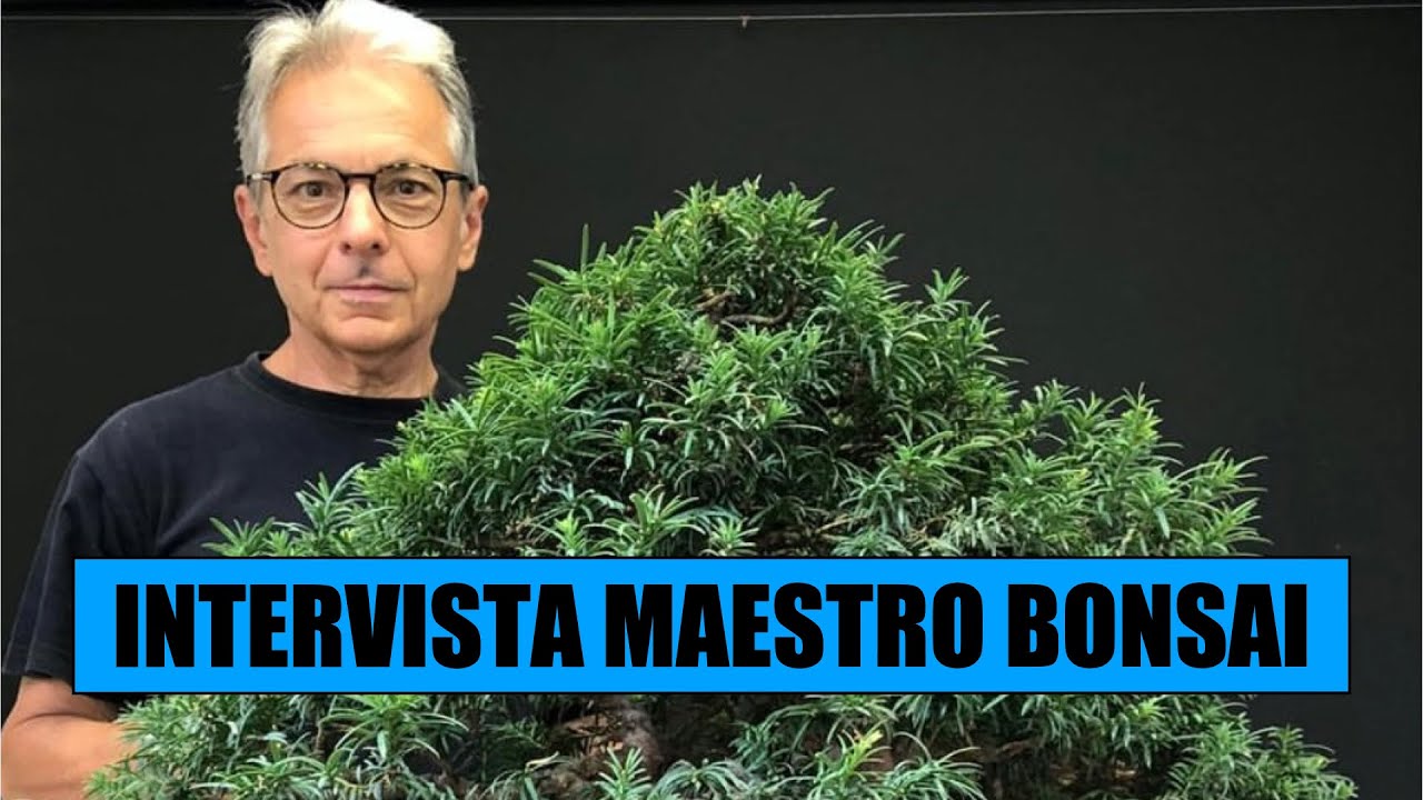 INTERVISTA ANDREA ZAMBELLI - Maestro bonsai
