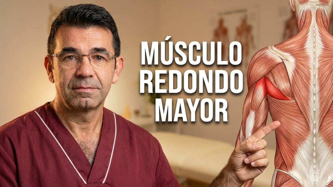Musculo redondo mayor, valoración y corrección.