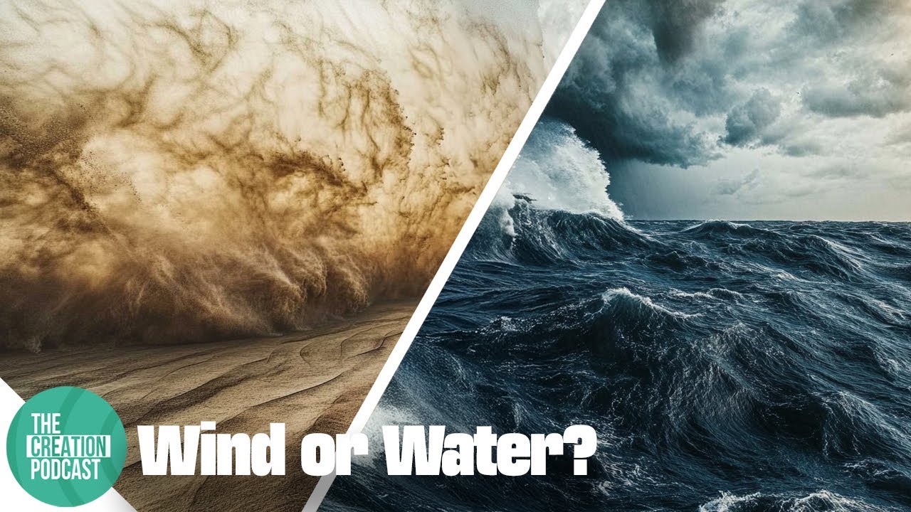 Water vs. Wind: The Controversial Coconino