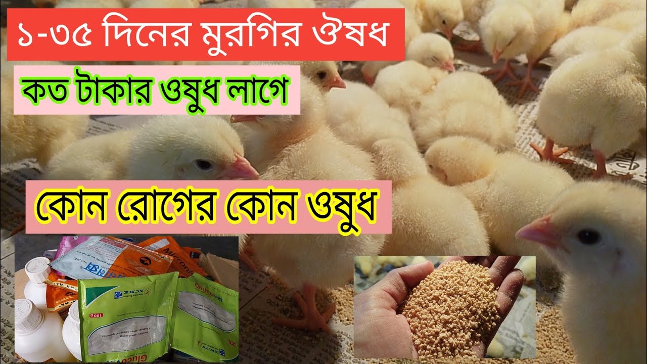 মুরগিকে ১-৩৫ দিন বয়সের মুরগির ঔষধ | সকল ঔষধের তালিকা |