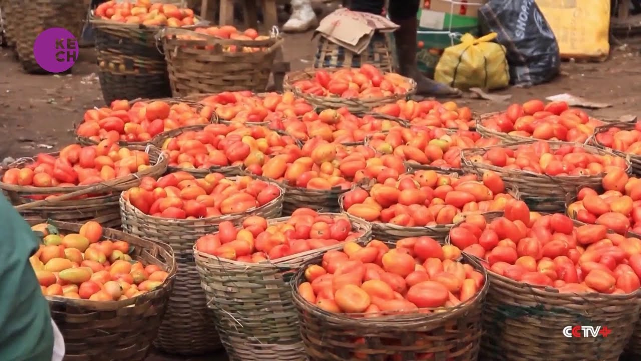 Tomato Prices Soar in Nigeria Amid Supply Shortage