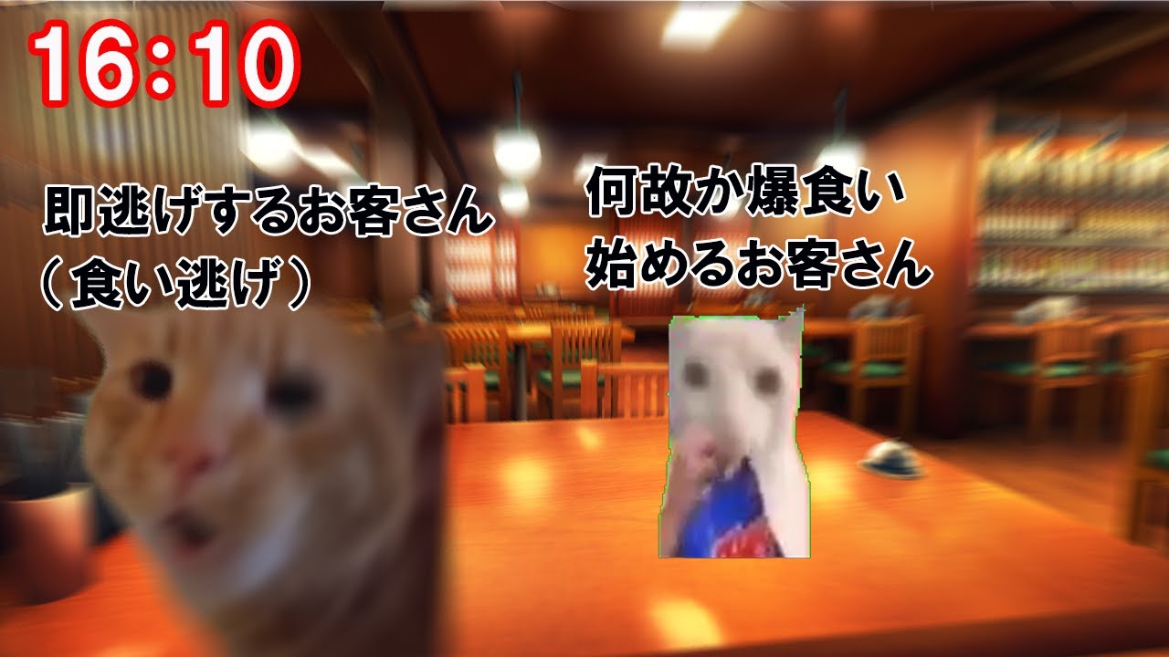 能登半島地震に直面したブラック飲食社員の一部始終【猫マニア・猫ミーム】