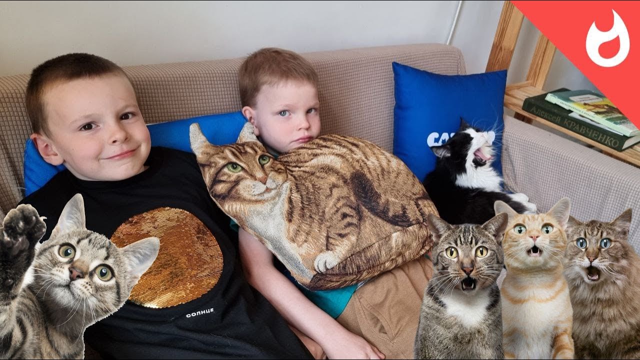 Котики ждут вас в меховом кафе в Калуге   Котокафе