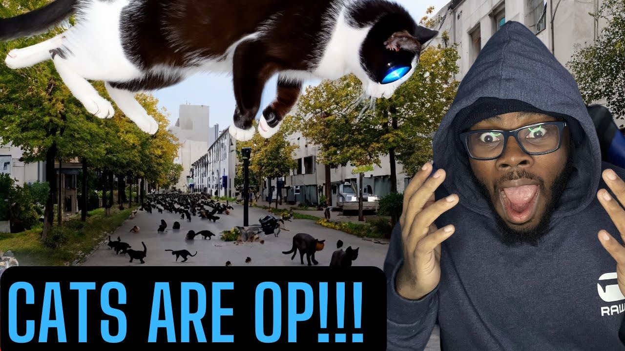 The Insane Plot Armor of Cats | REACTION