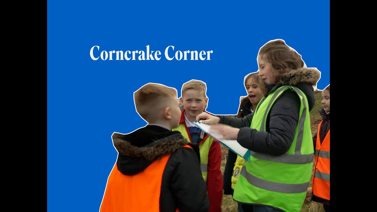 CORNCRAKE CORNER