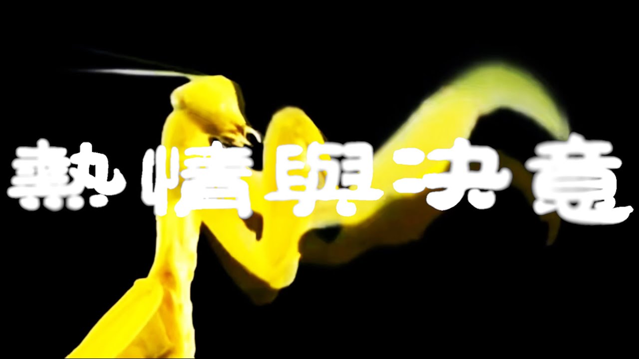 热情与决意 by Reconnector