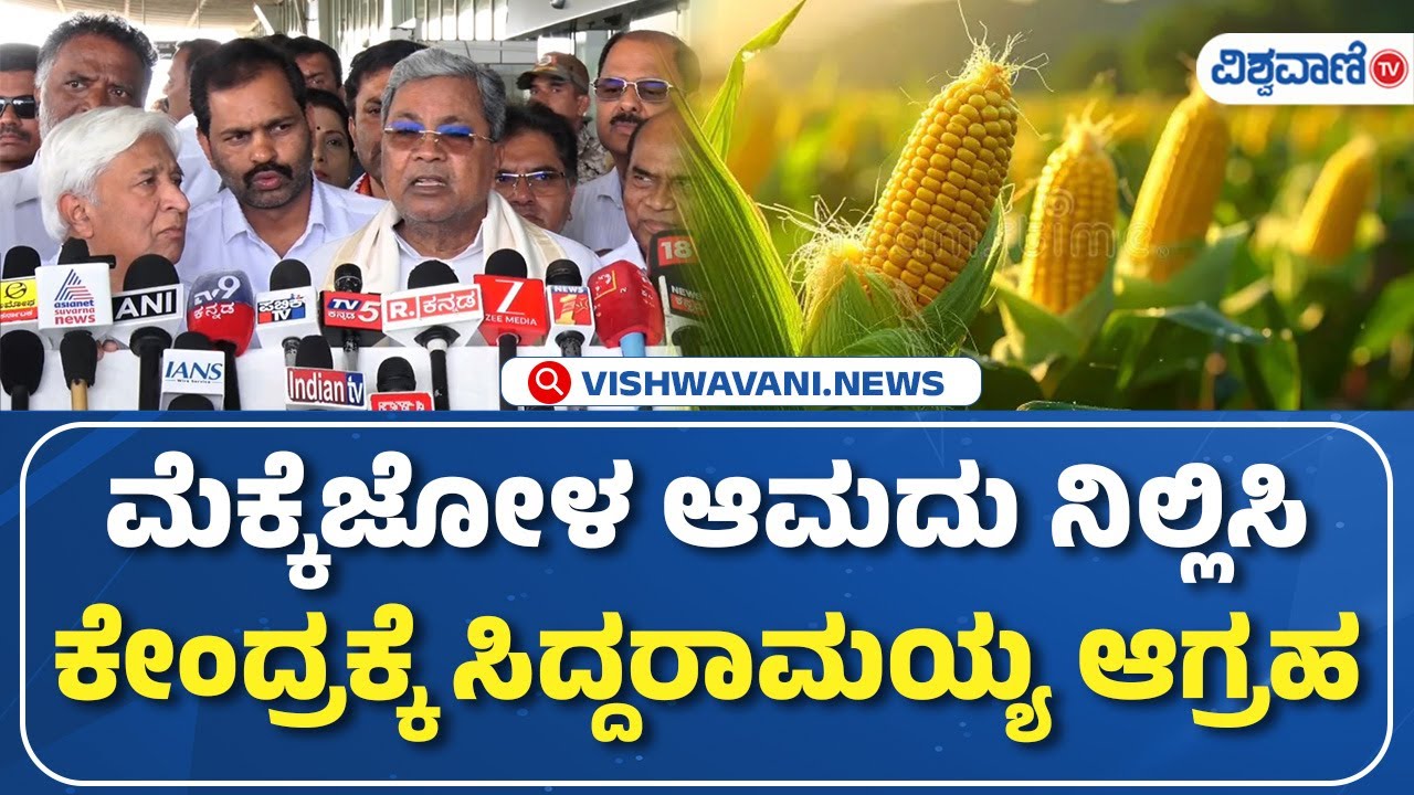 CM Siddaramaiah About Corn price | ಮೆಕ್ಕೆಜೋಳ ಆಮದು ನಿಲ್ಲಿಸಿ ಕೇಂದ್ರಕ್ಕೆ ಸಿದ್ದರಾಮಯ್ಯ ಆಗ್ರಹ | Vishwavani