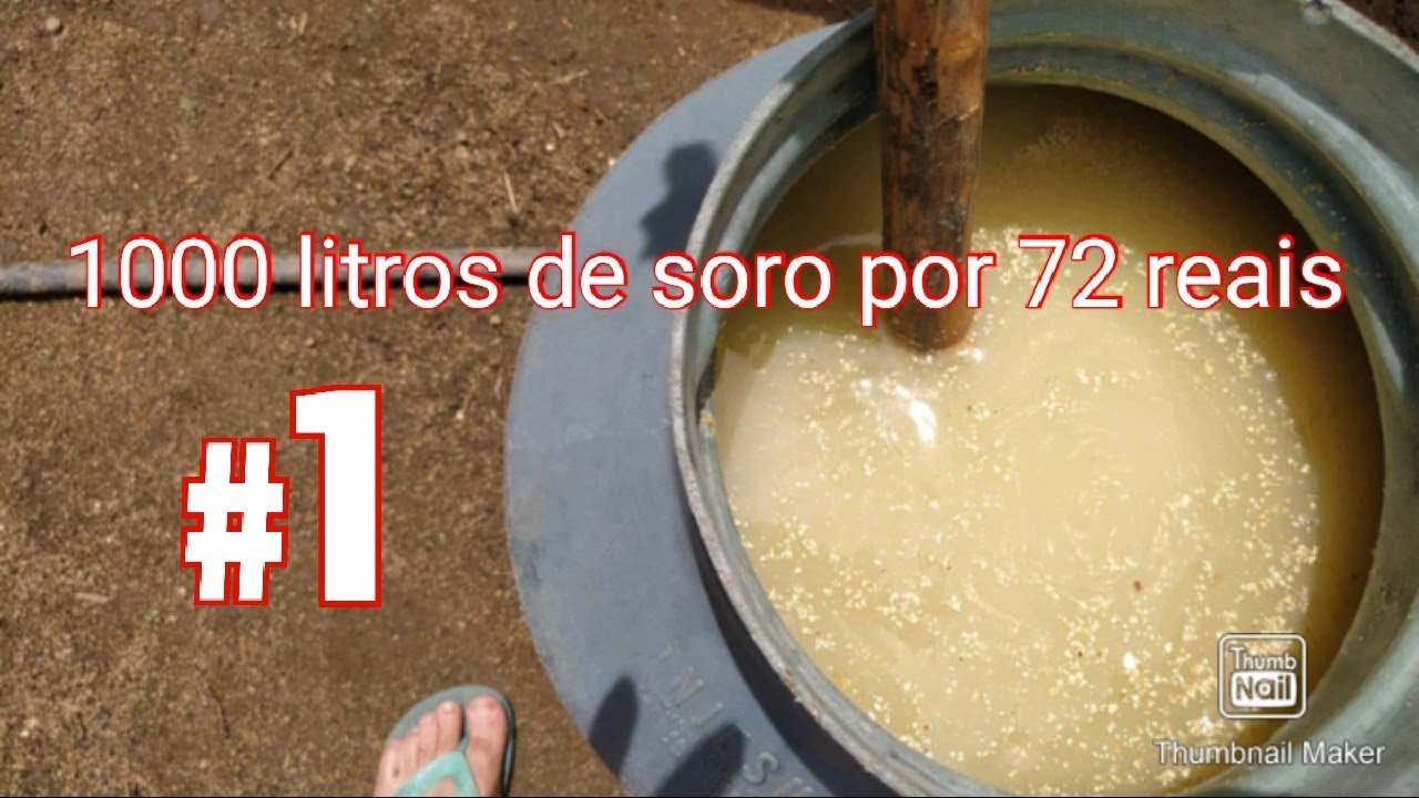como fazer soro caseiro para porcos 1000 litros de soro por 72 reais.