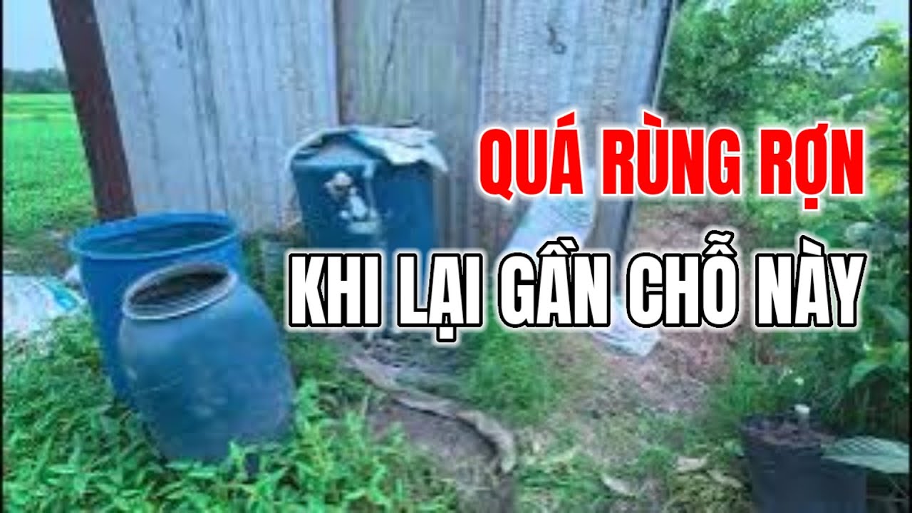 BỊ PHÁT HIỆN VÀ BỎ CHẠY LẬP TỨC. RAU MUỐNG VĨNH LỘC B BÌNH CHÁNH SÀI GÒN