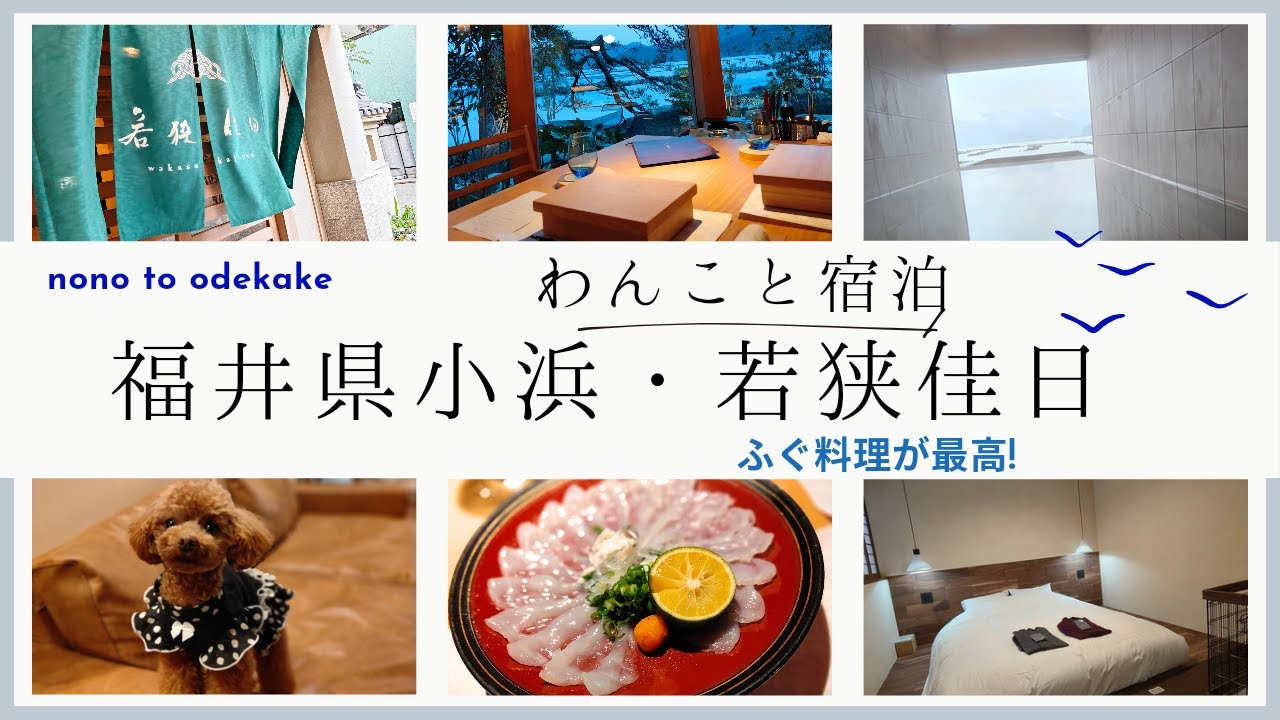 【若狭佳日】わんこと宿泊・福井県小浜の旅館で若狭フグのコース料理を味わう