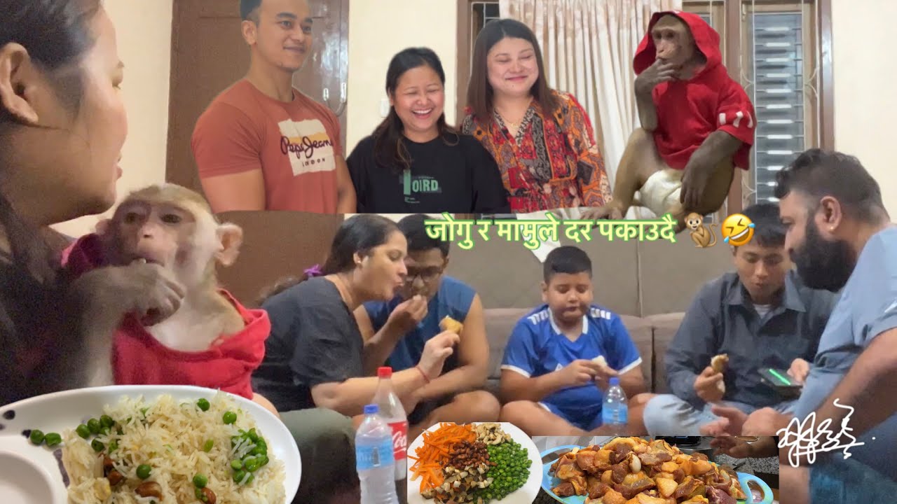 Jogu ra mamu teez ko dar pakaudai🐒🐒😂😂 sikkim bata hamilai vetna @GracemanjuSawaden  ma’am😍🙏