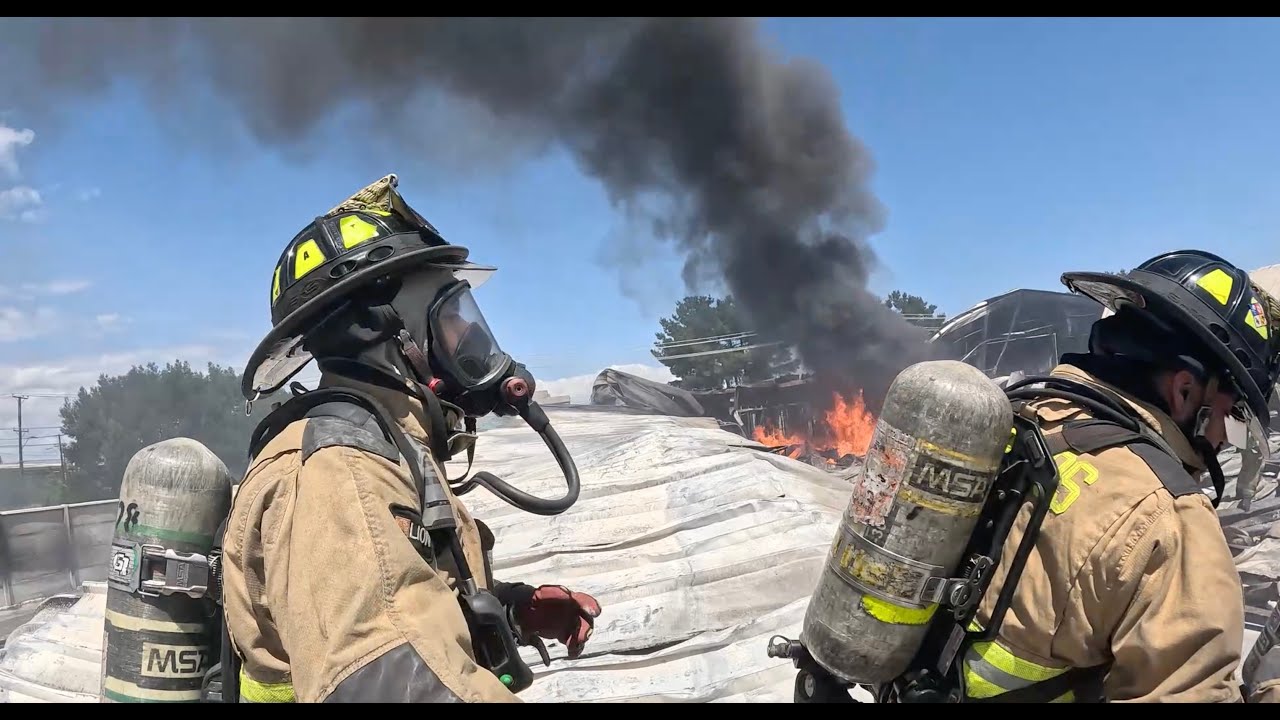 10 0 | Rebrote Empresa Inger S.A | Septima Coronel