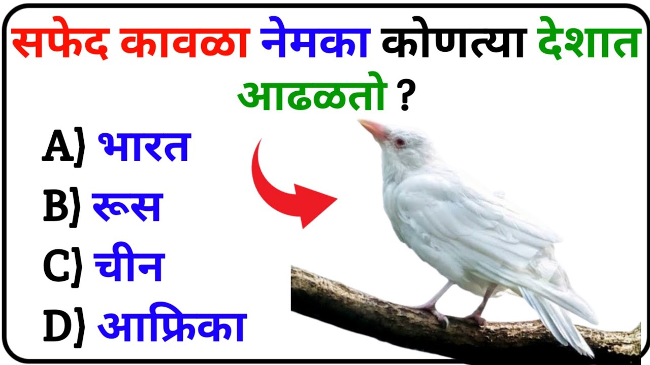GK Questions Marathi 2025 | GK Questions Marathi | GK Question Answer Marathi | GK Quiz Marathi | GK