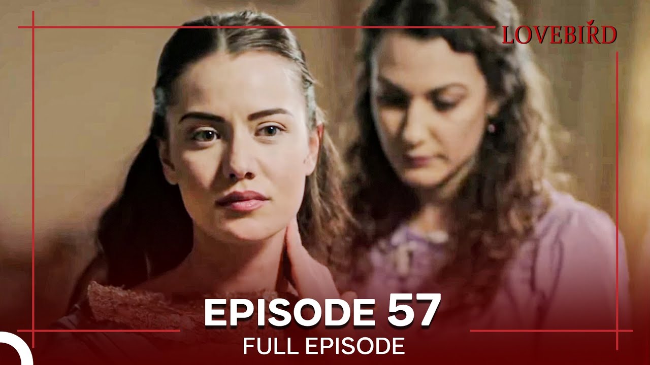 Lovebird Episode 57