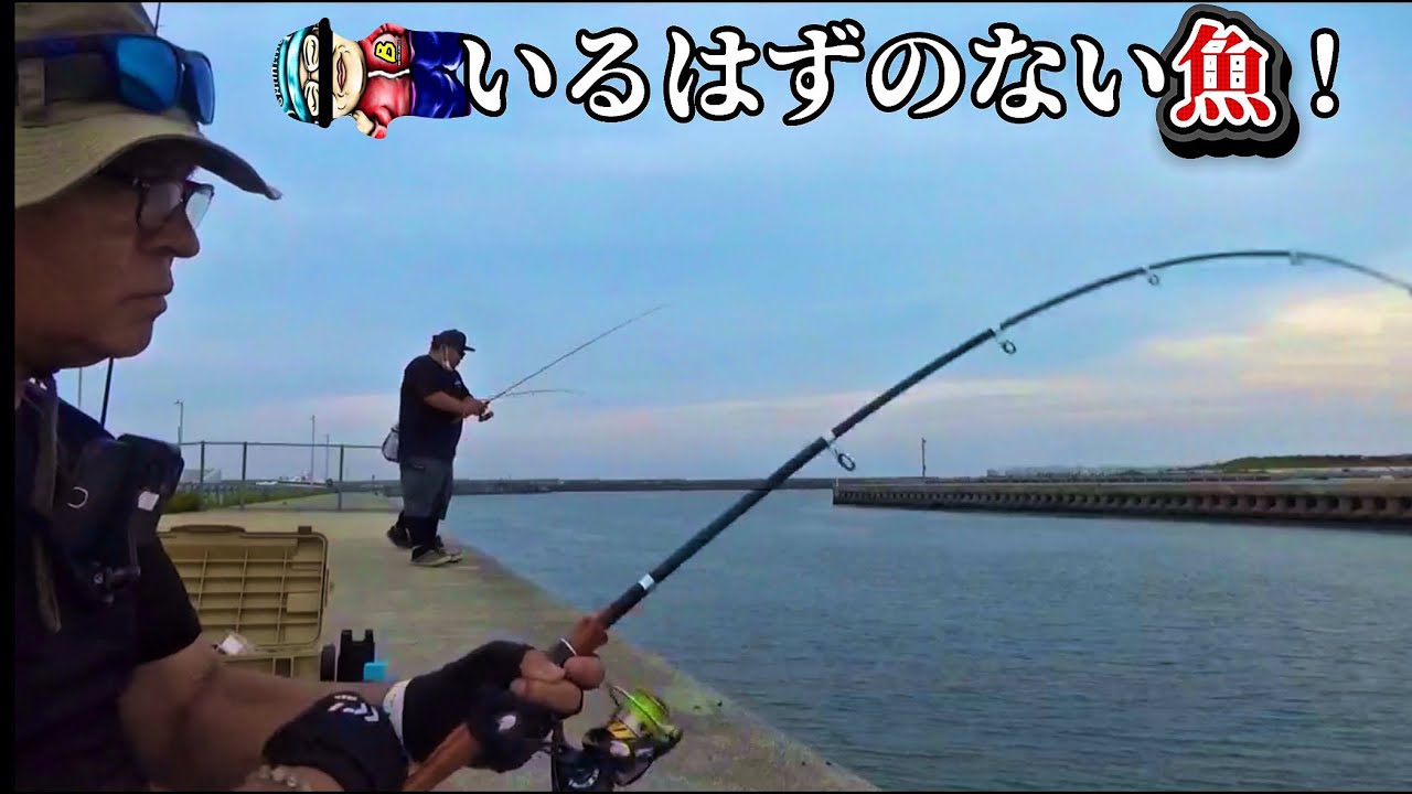 閖上港で生息しない高級魚が釣れている！！【宮城釣り】【爆釣】【気候変動】