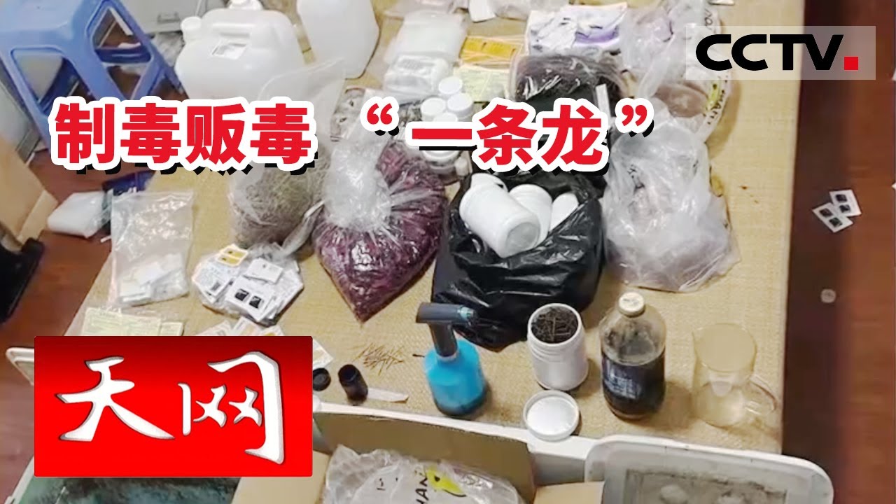《天网》胆大包天！男子竟自行制作大麻素毒品 3个月摸排调查 警方终于端掉制毒窝点！ 20230113 | CCTV社会与法