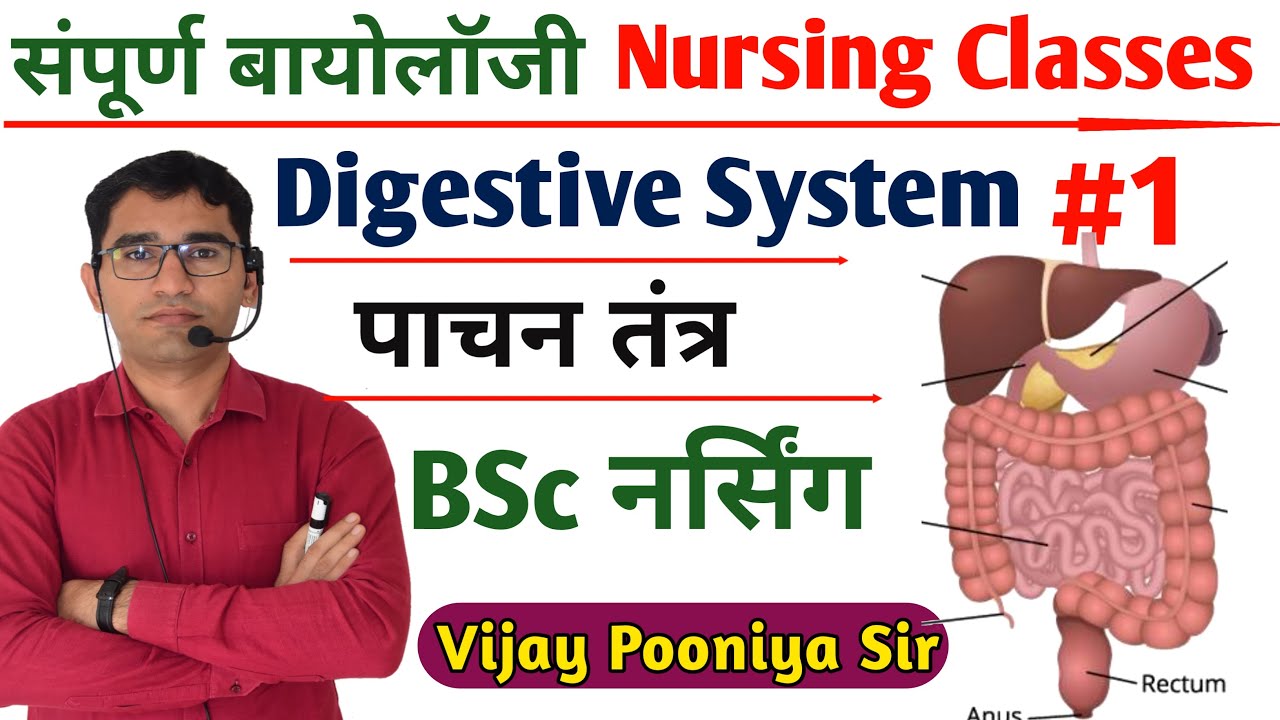 LIVE- DIGESTIVE SYSTEM BIOLOGY P-1 | RUHS AIIMS BSC Nursing  online Classes BY VIJAY PUNIYA Sir