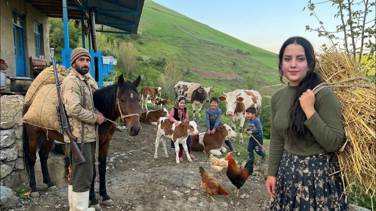 IRAN Village life in mountain: Caring for cattle and preparing livestock feed