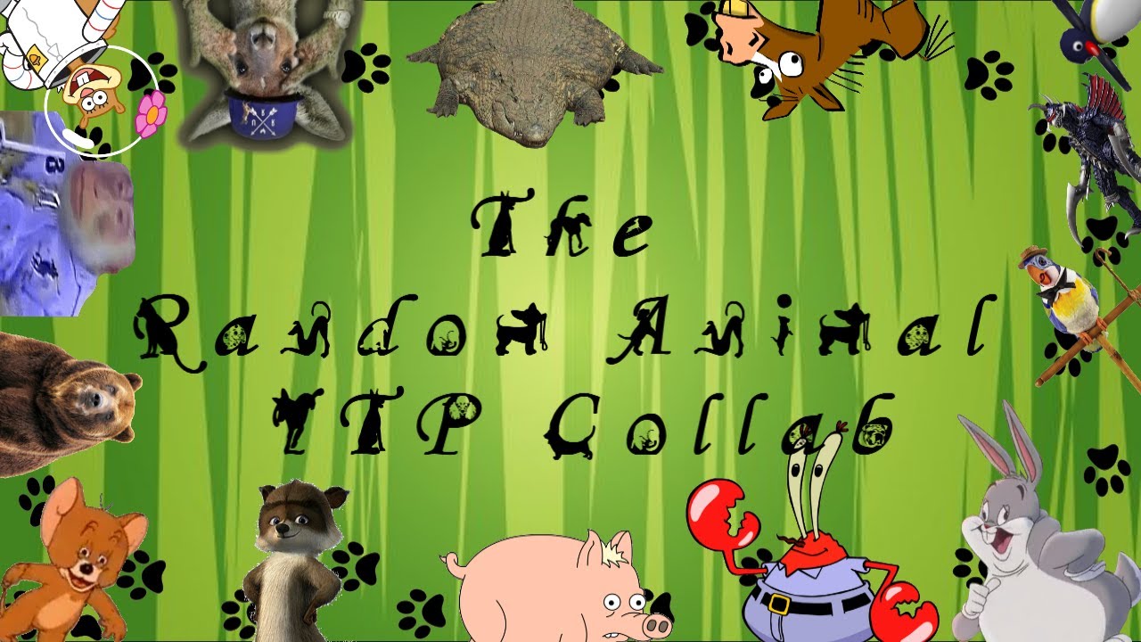 The Random Animals YTP Collab