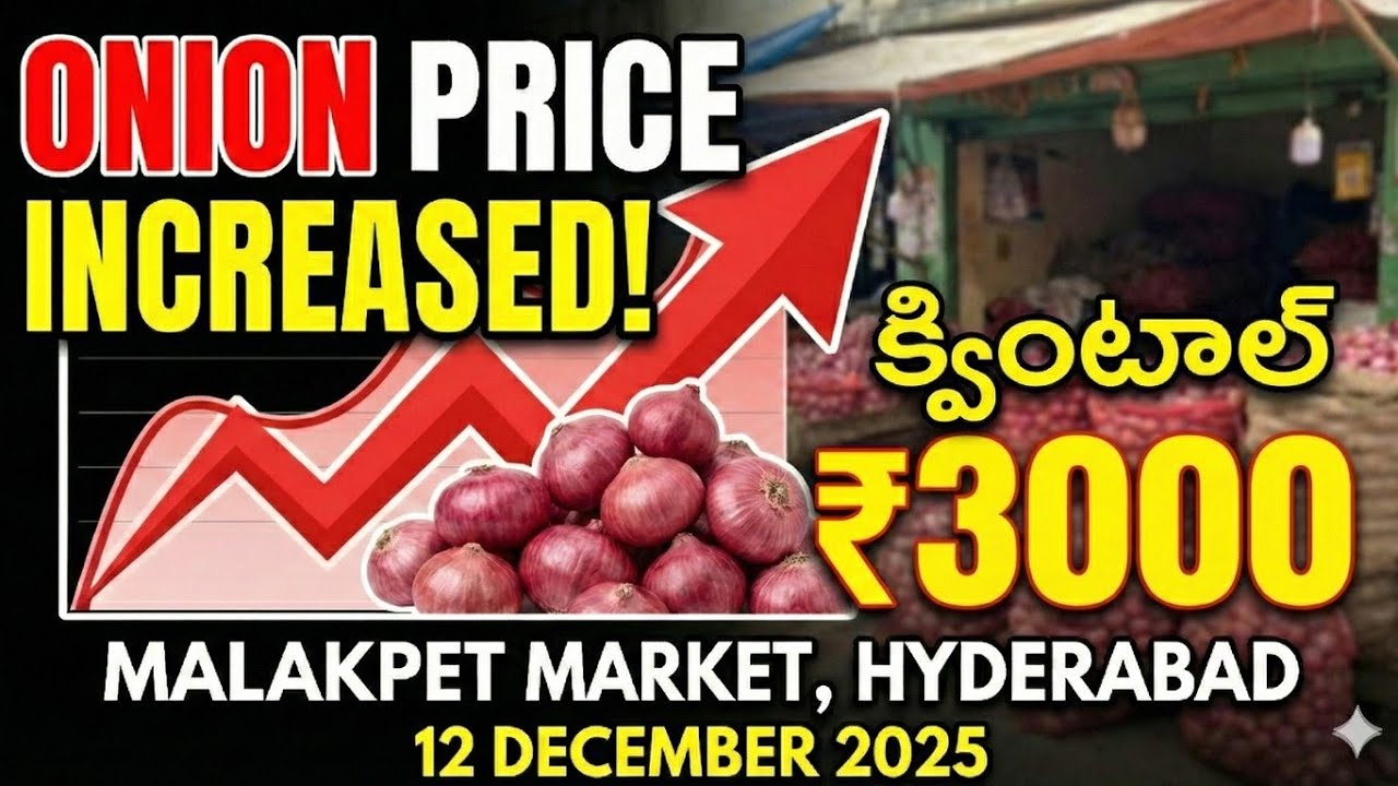 Hyderabad onion market rate today | Malakpet Market Onion Price Report | 12/12/2025 #onionratetoday 