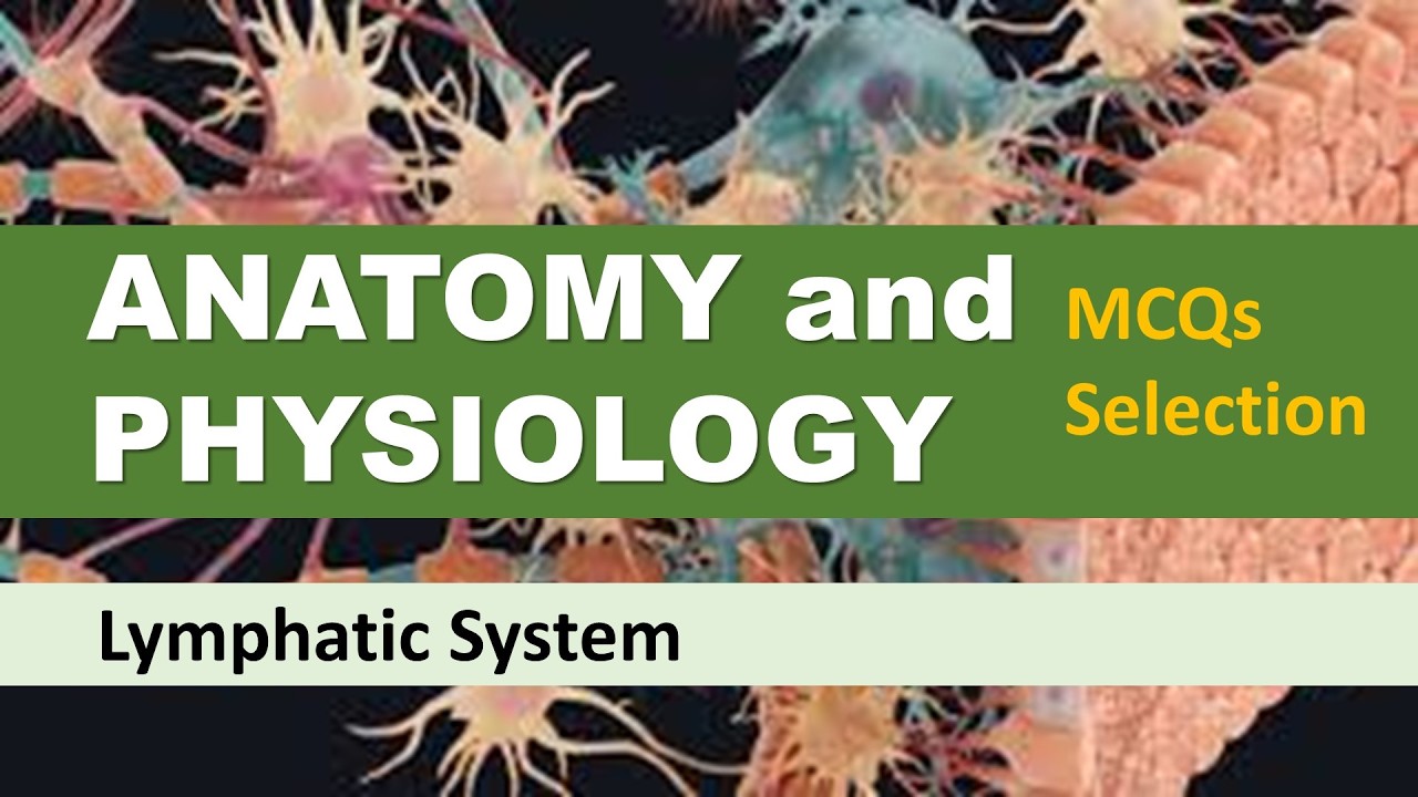 Lecture 1 MCQs | Lymphatic System