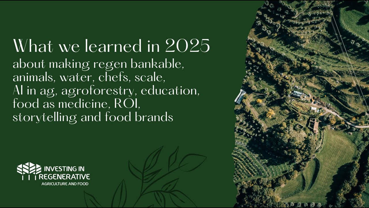 What 2025 taught us about making regen bankable, animals, water, chefs, scale, Al, agroforestry