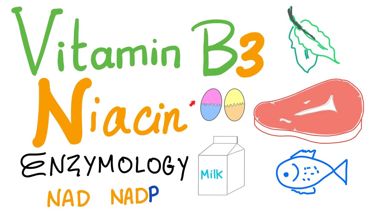 Vitamin B3 (Niacin) Enzymology [NAD and NADP]