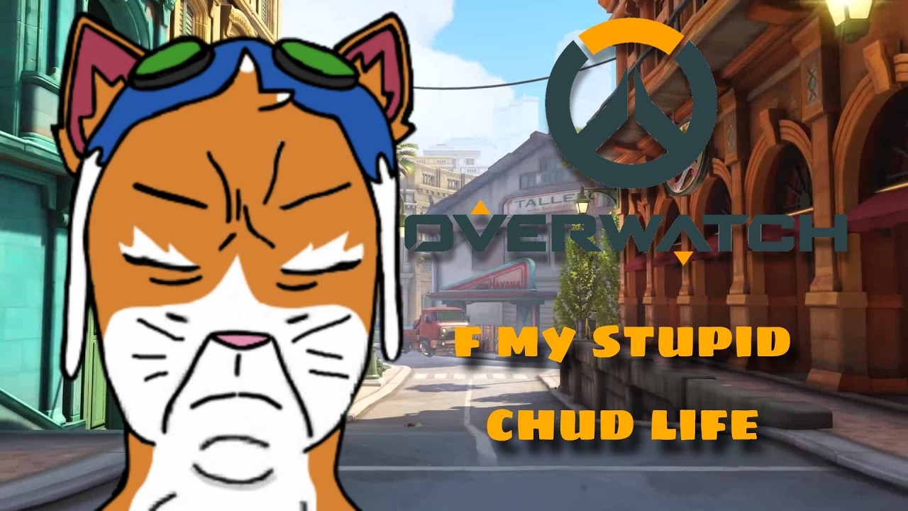 chud cat | overwatch