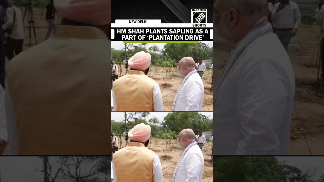 Watch! Union Home Minister Amit Shah plants a sapling as part of a plantation drive