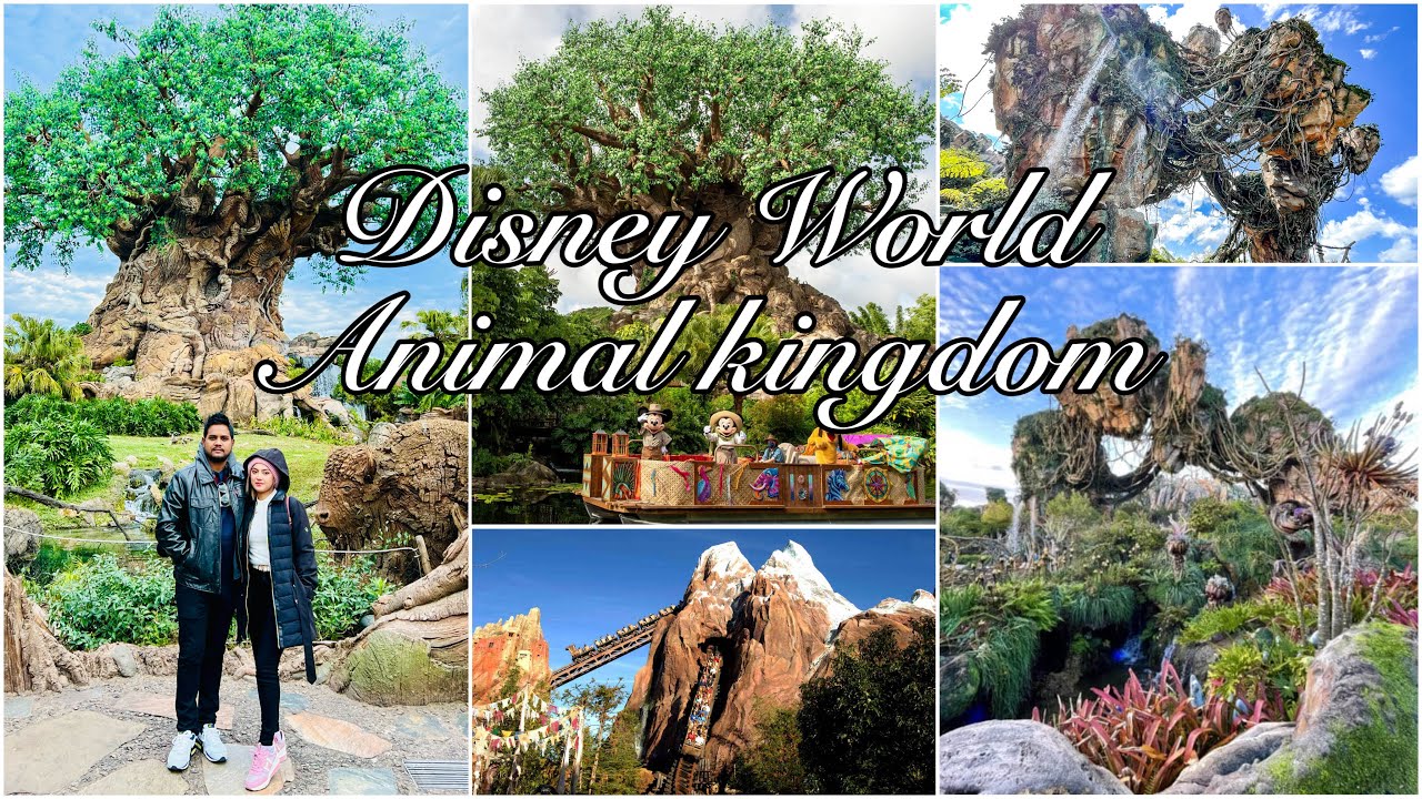 Animal Kingdom || Walt Disney World || Orlando, Florida || TravelVlog
