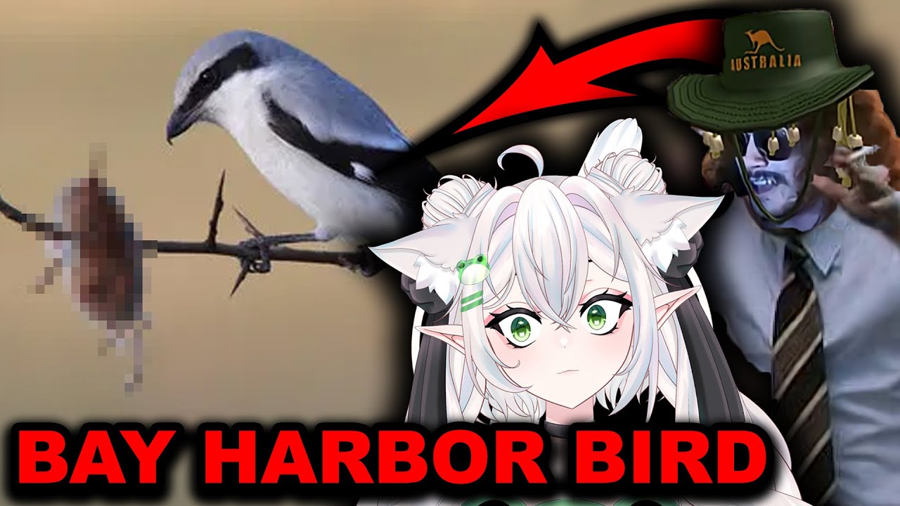 Why the &ldquo;Butcher Bird&rdquo; Terrifies Me | Vtuber Reacts to MoreParz