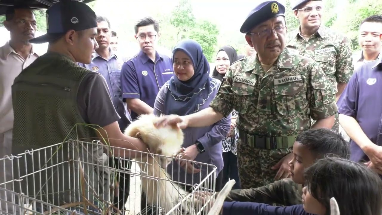 WALKBOUT GM KEDA BERSAMA REJIMEN 513 ASKAR WATANIAH KE CAMPSITE DESA KEDA WANG TOK RENDONG,LANGKAWI