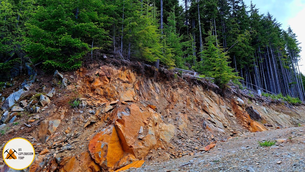 Large Mineralized Gold, Silver & Copper Rich Showing Found Along This Logging Road!