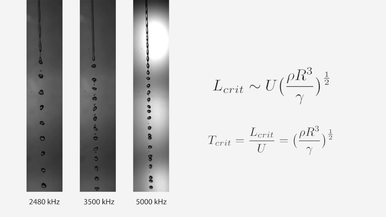 The Plateau-Rayleigh Instability