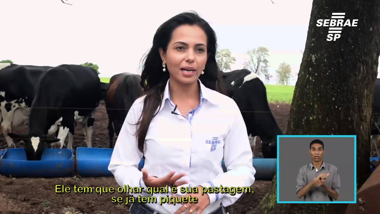 Como fazer: Pecuária Leiteira - Aumentar a produtividade do leite com pouca pastagem