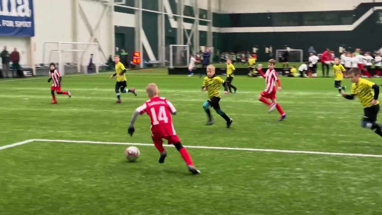 Tarnovia 2015 - SP Błękit Żołynia - (Orliki 2015) - WRS Arena Cup 11/1/2025