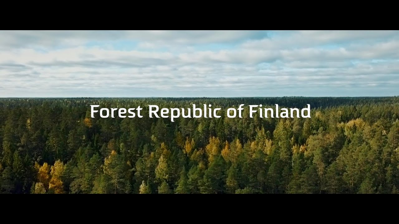 Forest Republic of Finland – Forest Relationship is Genuine and Unique for Finns