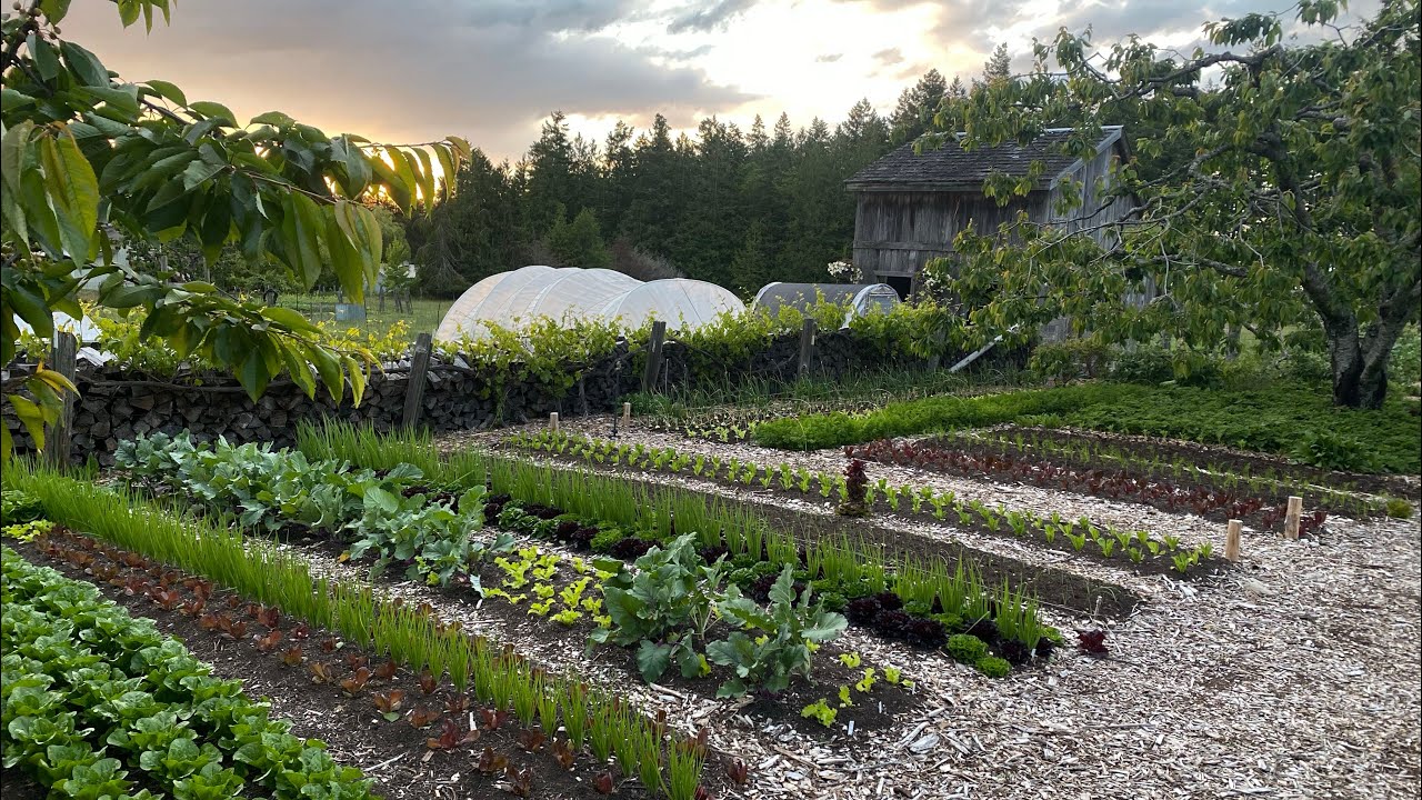 GrowingBackToEden Market Farming Update | End of June 2021’