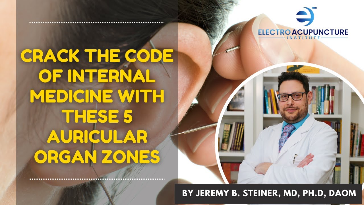 Crack the Code of Internal Medicine with These 5 Auricular Organ Zones