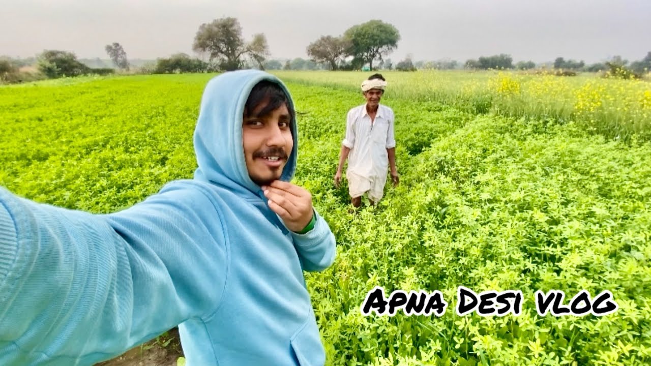 Apna gav ka vlog \\ Desi vlog // kheti vlog