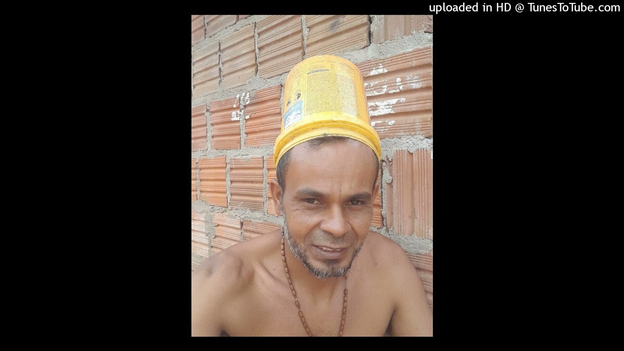 Pássaro noturno