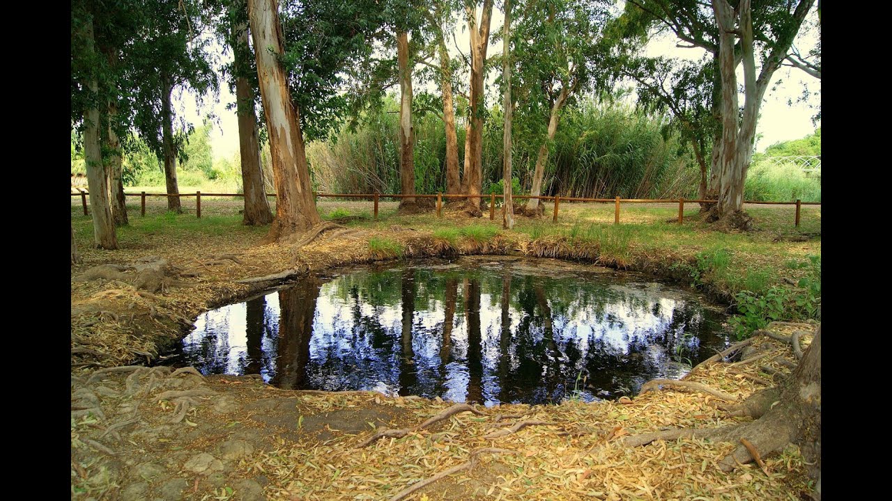 Delta del Ebro Ullals de Baltasar