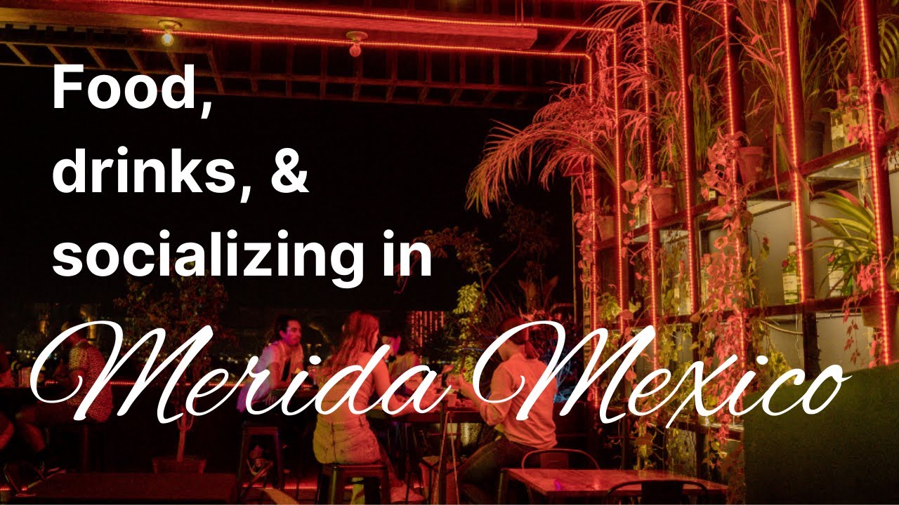 Restaurants and Bars in Merida | Meet New People in Merida Mexico