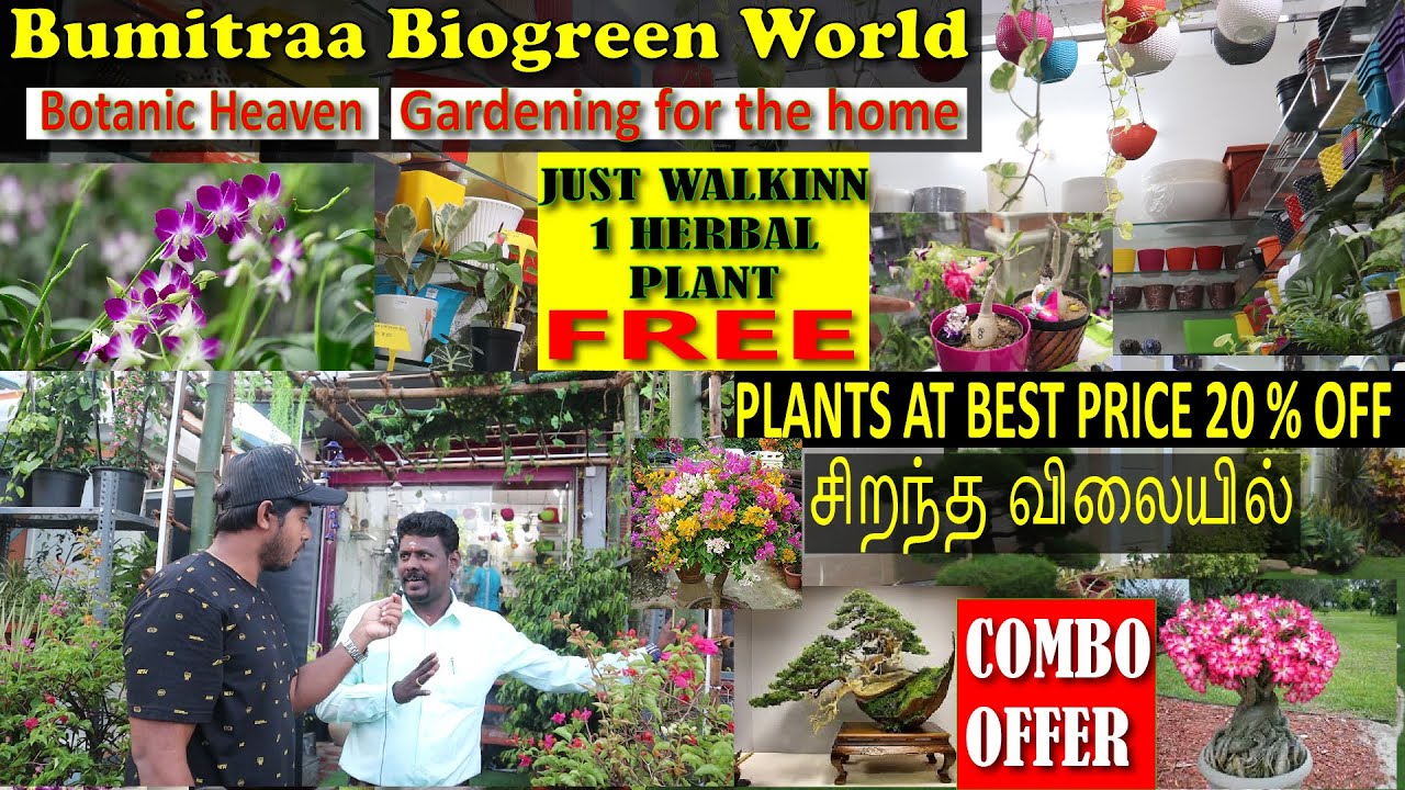 nursery IN CHENNAI TAMIL/Nursery Garden TAMIL/bumitraa biogreen world