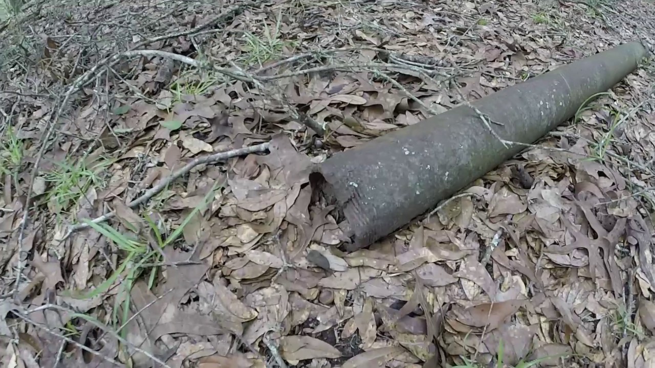 Croom Ghost Town in Withlacoochee State Forest (Part Two)