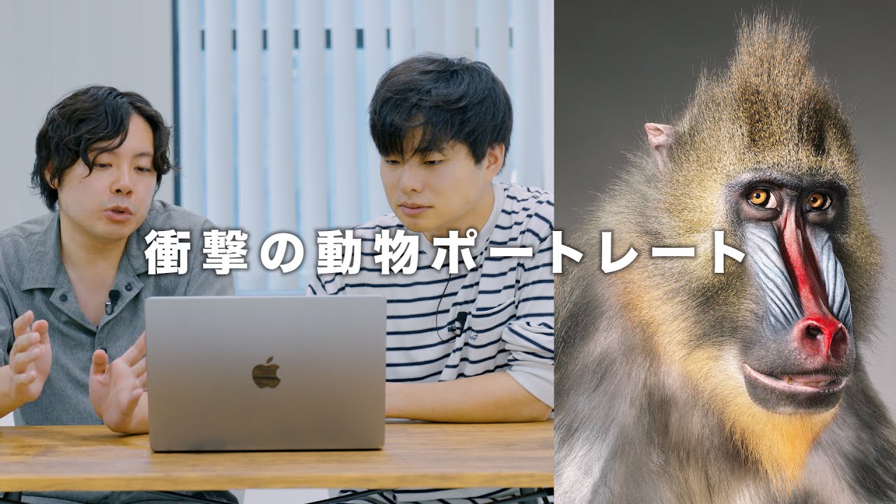 【中に人が入ってる？】動物の表情を引き出す衝撃の動物ポートレート