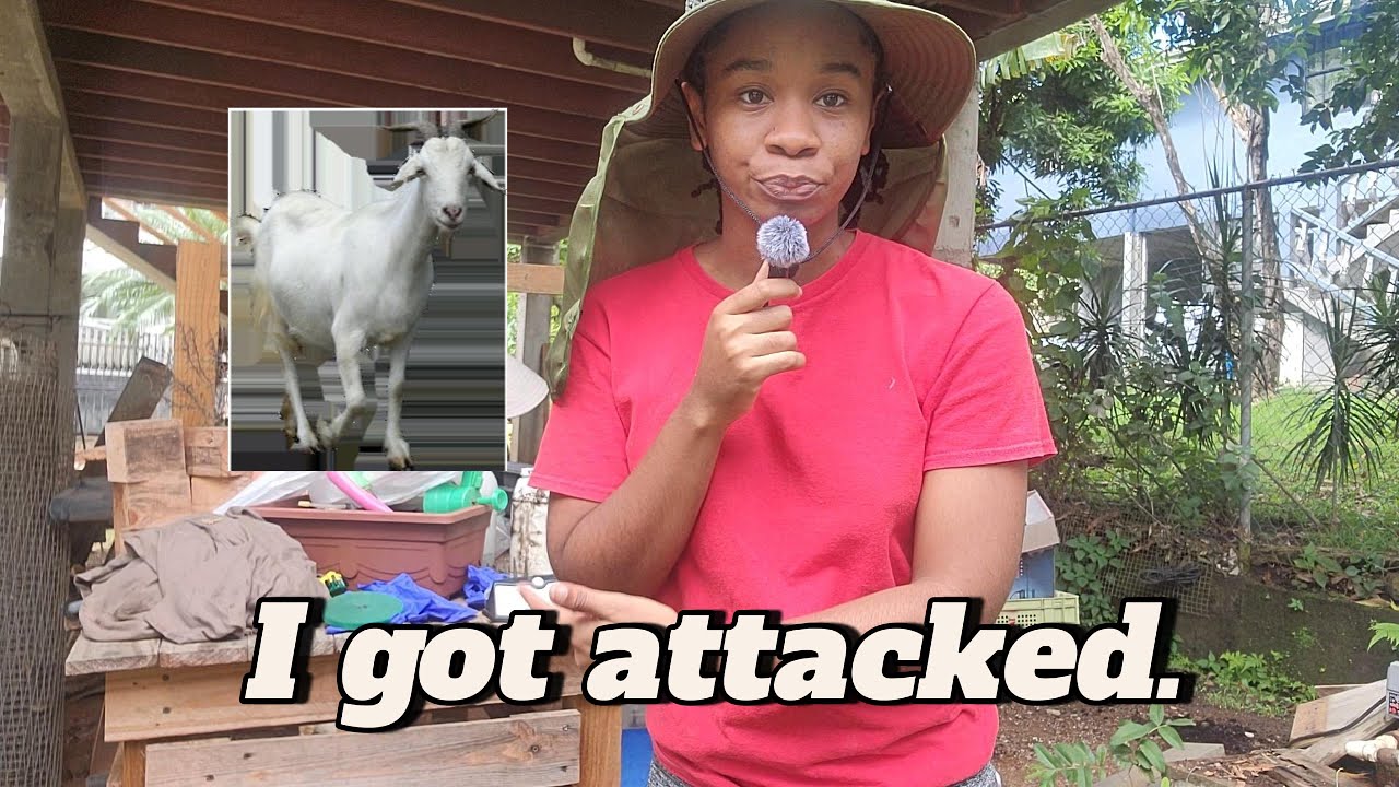 Episode 1: Garden Makeover Gone Wrong | Unexpected Visitors 🐐