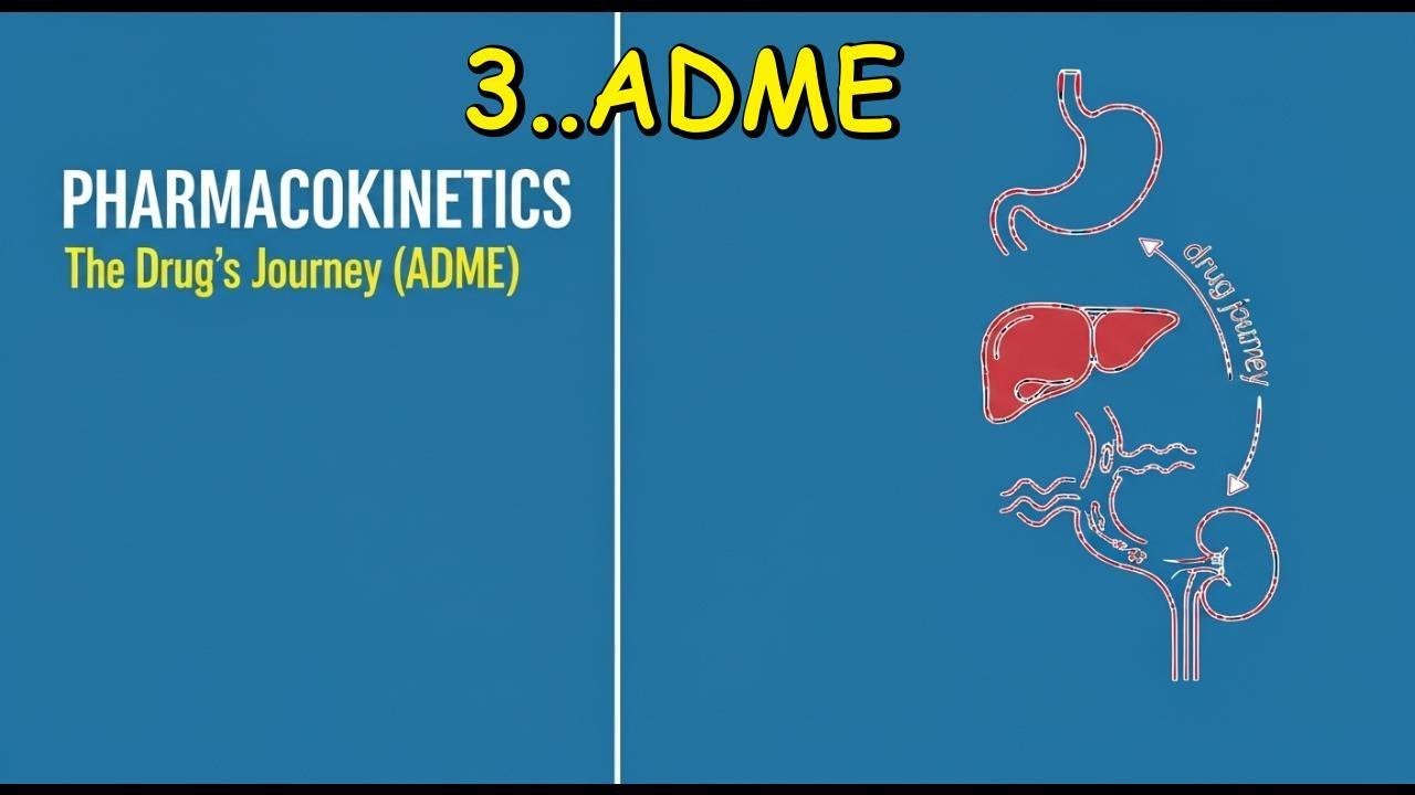 Pharmacokinetics Explained (ADME): Drug Absorption, Distribution, Metabolism & Excretion | Made Easy