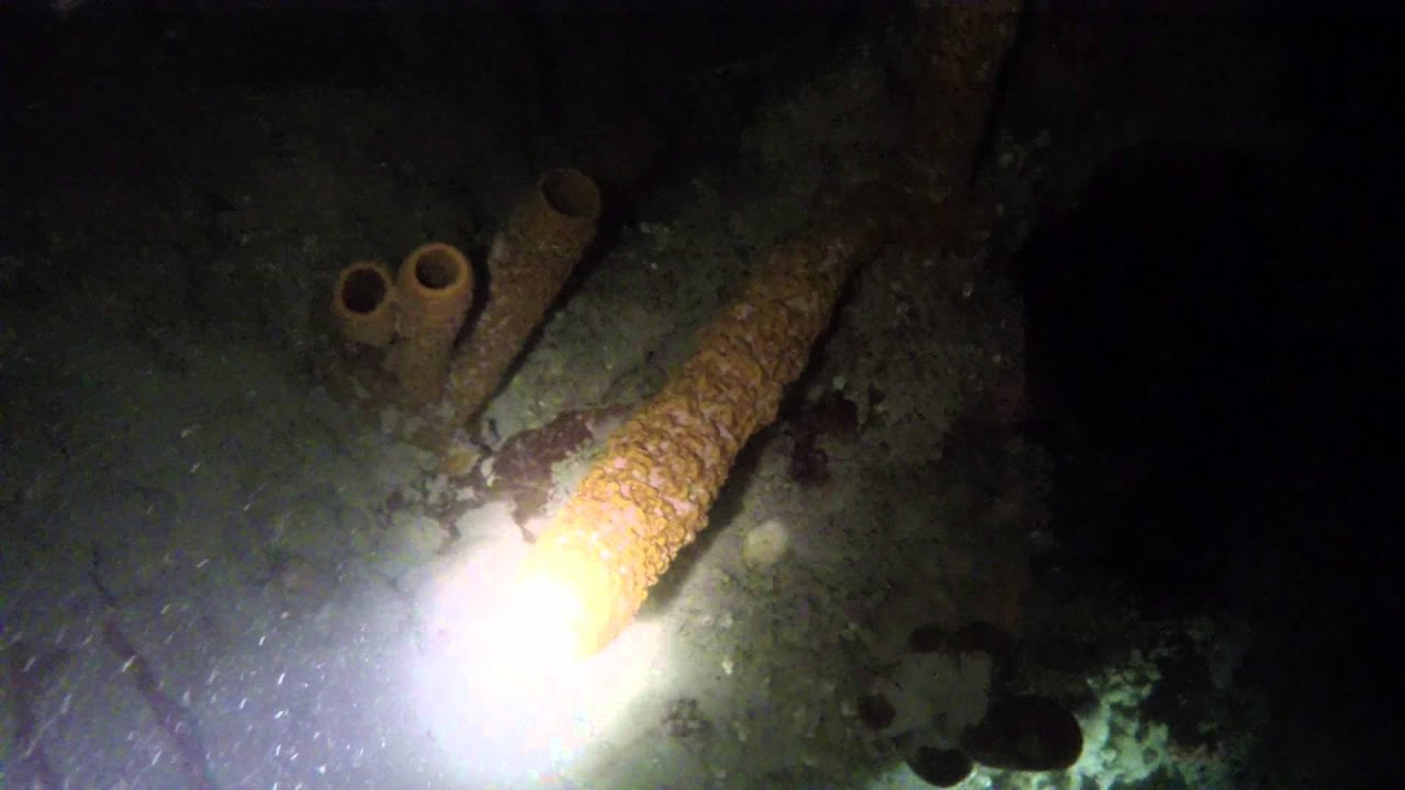 Buceo nocturno en Montrouis, Hait&iacute;